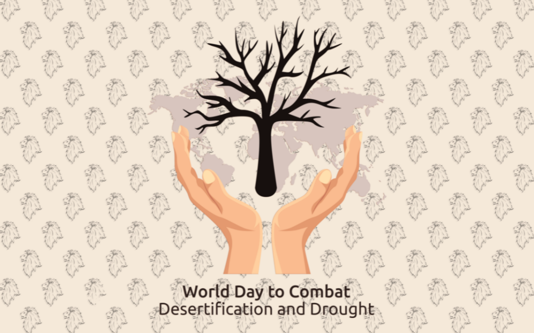 Giornata Mondiale per la Lotta alla Desertificazione e alla Siccità: Martom in prima linea con i prodotti Inca Secret